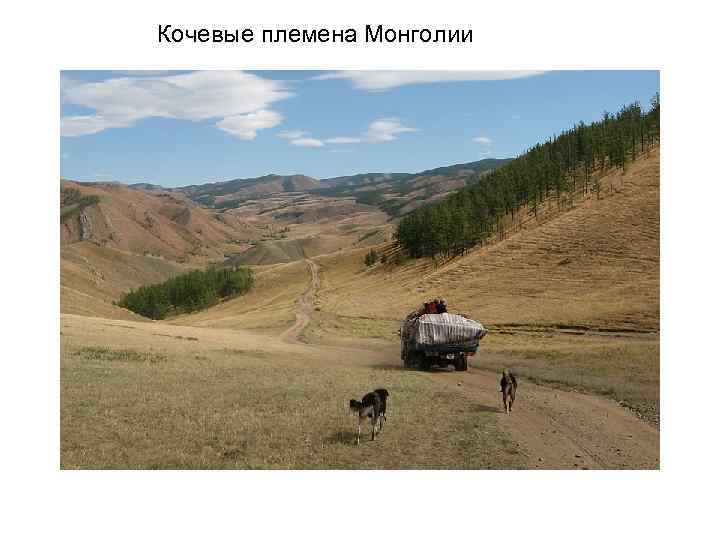Кочевые племена Монголии 