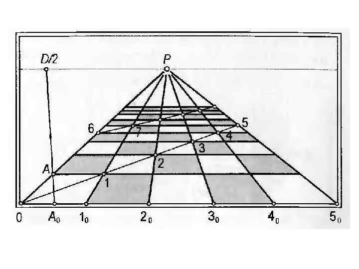 Как называются точки на чертеже перспективы обозначаемые буквами d d1