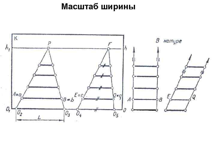 Масштаб ширины 