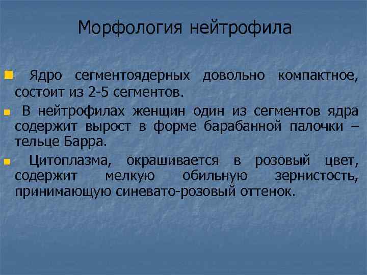 Морфология нейтрофила n Ядро сегментоядерных довольно компактное, состоит из 2 -5 сегментов. n В