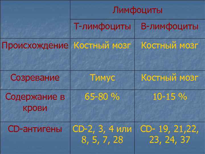 Лимфоциты Т-лимфоциты В-лимфоциты Происхождение Костный мозг Созревание Тимус Костный мозг Содержание в крови 65