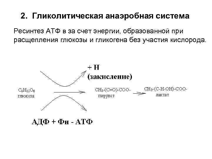 2. Гликолитическая анаэробная система Ресинтез АТФ в за счет энергии, образованной при расщепления глюкозы