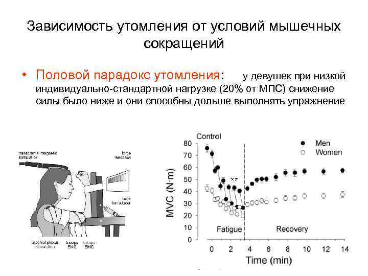 Зависимость утомления от условий мышечных сокращений • Половой парадокс утомления: у девушек при низкой