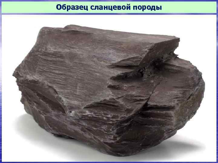 Образец сланцевой породы 10 