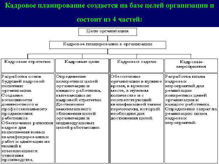 Кадровое планирование создается на базе целей организации и состоит из 4 частей: 