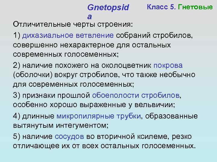 Gnetopsid a Класс 5. Гнетовые Отличительные черты строения: 1) дихазиальное ветвление собраний стробилов, совершенно