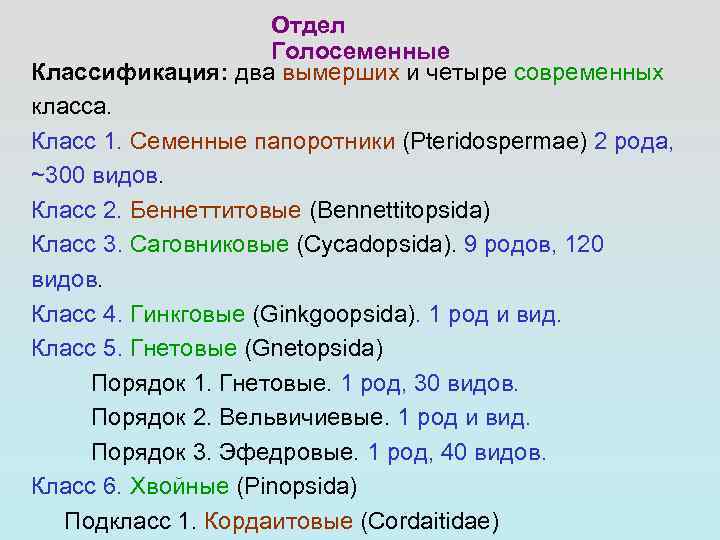 Систематическое положение сосны обыкновенной