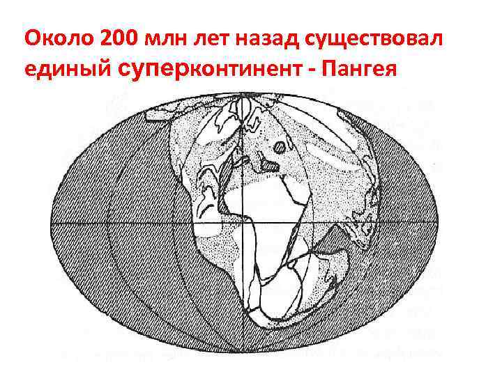Около 200 млн лет назад существовал единый суперконтинент - Пангея 