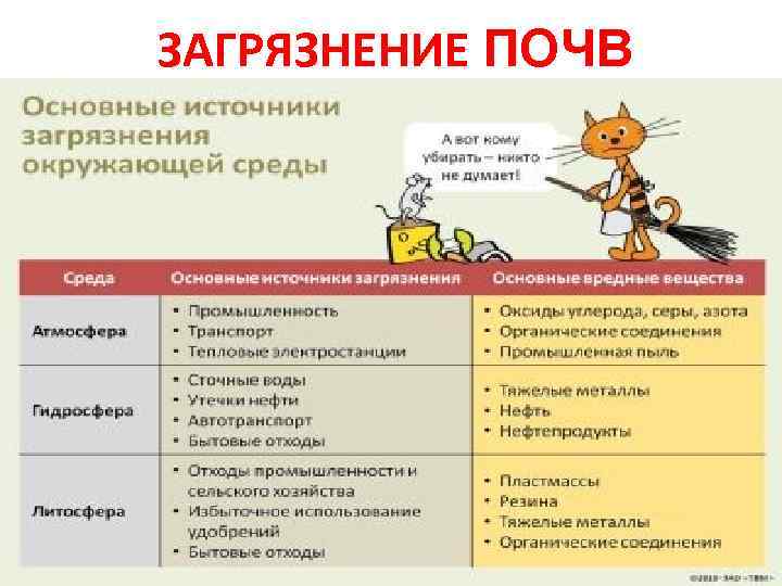 ЗАГРЯЗНЕНИЕ ПОЧВ 