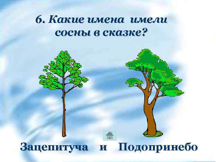 6. Какие имена имели сосны в сказке? Зацепитуча и Подопринебо 