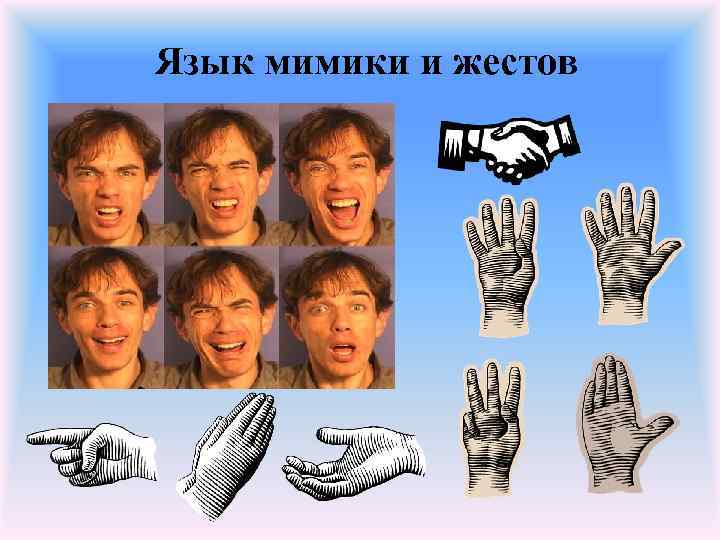 Язык мимики и жестов 