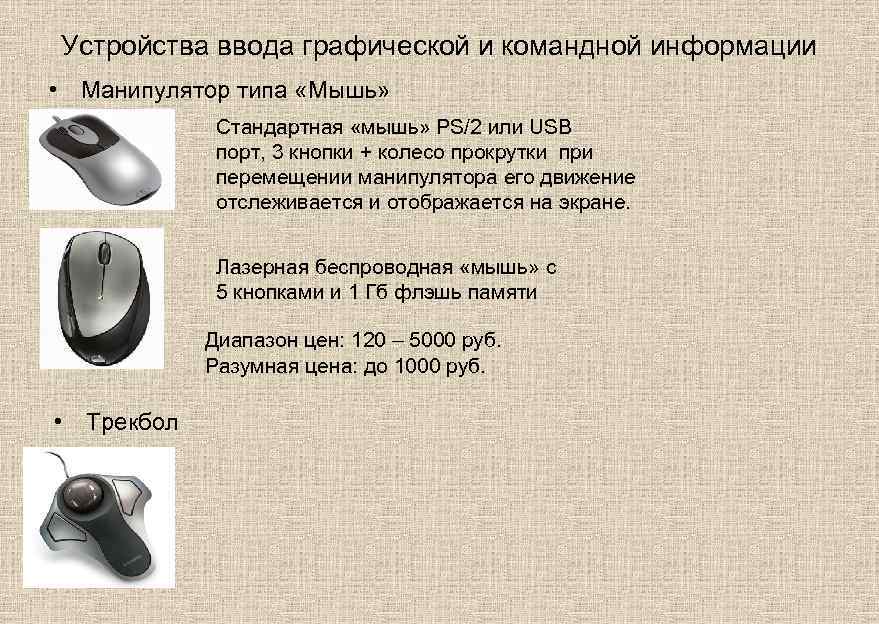 Устройства ввода графической и командной информации • Манипулятор типа «Мышь» Стандартная «мышь» PS/2 или