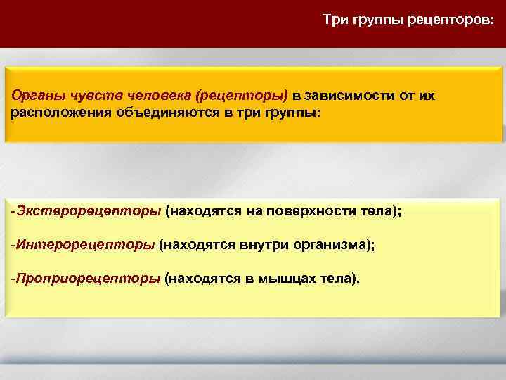 Три группы рецепторов: Органы чувств человека (рецепторы) в зависимости от их расположения объединяются в