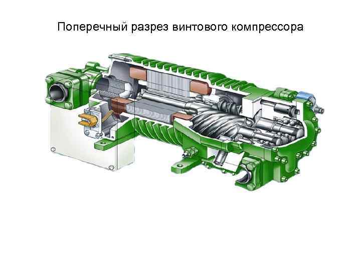 Поперечный разрез винтового компрессора 