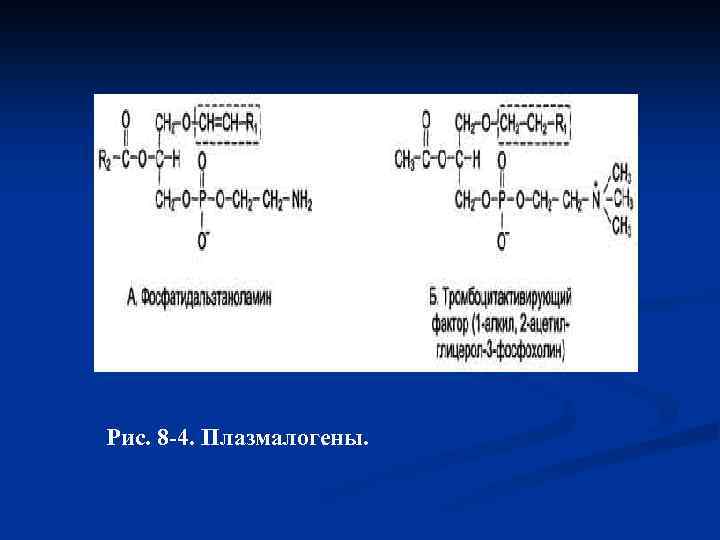 Рис. 8 -4. Плазмалогены. 