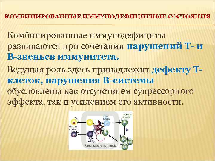 КОМБИНИРОВАННЫЕ ИММУНОДЕФИЦИТНЫЕ СОСТОЯНИЯ Комбинированные иммунодефициты развиваются при сочетании нарушений Т- и В-звеньев иммунитета. Ведущая