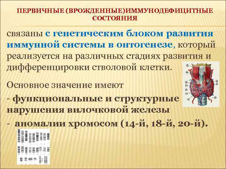 ПЕРВИЧНЫЕ (ВРОЖДЕННЫЕ)ИММУНОДЕФИЦИТНЫЕ СОСТОЯНИЯ связаны с генетическим блоком развития иммунной системы в онтогенезе, который реализуется