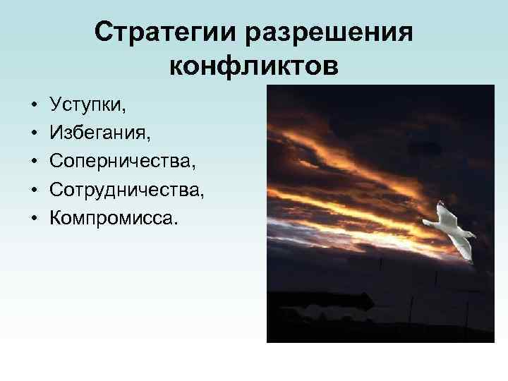 Стратегии разрешения конфликтов • • • Уступки, Избегания, Соперничества, Сотрудничества, Компромисса. 