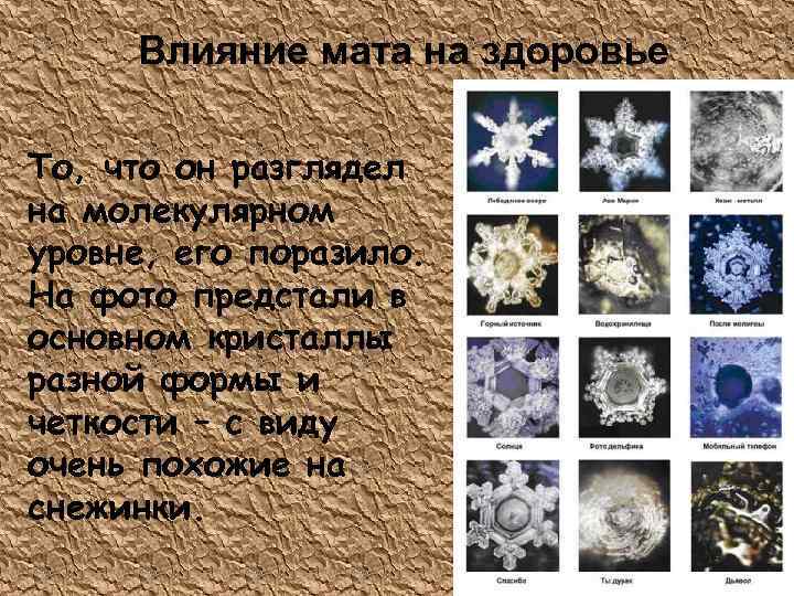 Влияние мата на здоровье То, что он разглядел на молекулярном уровне, его поразило. На