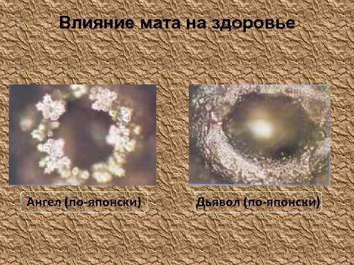 Влияние мата на здоровье Ангел (по-японски) Дьявол (по-японски) 