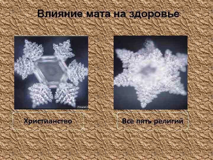 Влияние мата на здоровье Христианство Все пять религий 
