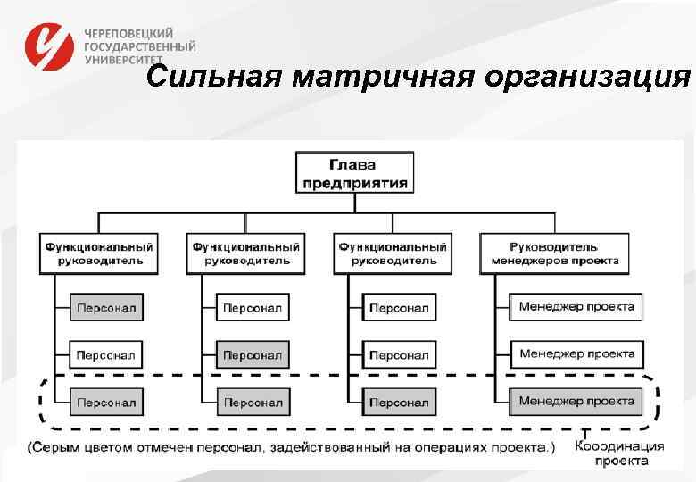 Сильная матричная организация 