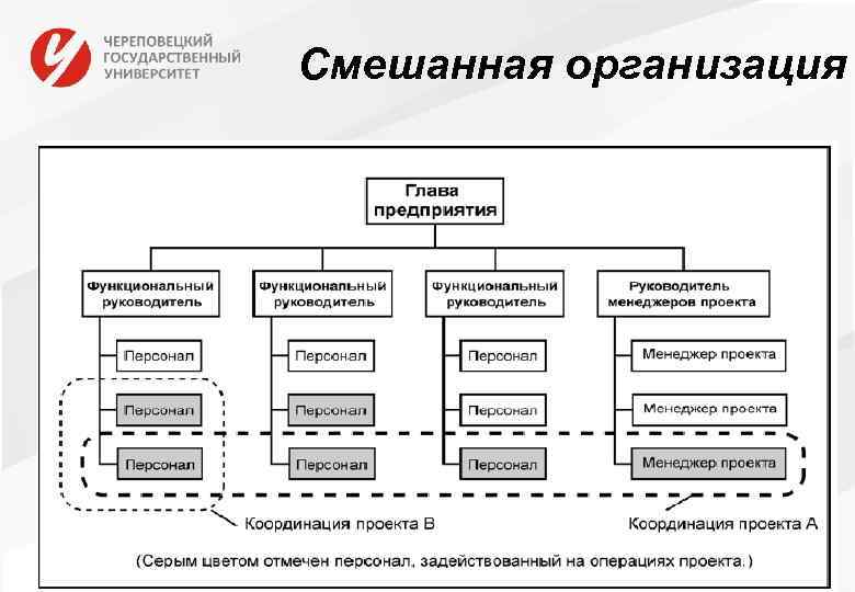 Смешанная организация 