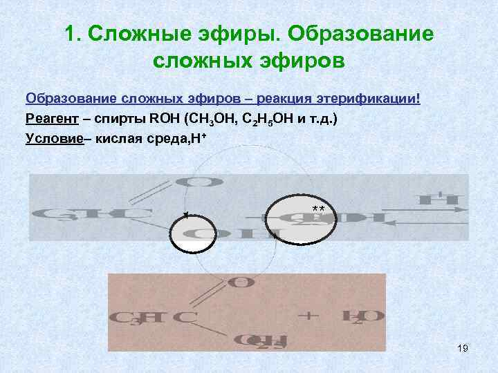 1. Сложные эфиры. Образование сложных эфиров – реакция этерификации! Реагент – спирты ROH (CH