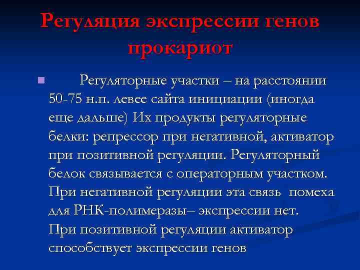 Регуляция экспрессии генов прокариот n Регуляторные участки – на расстоянии 50 -75 н. п.