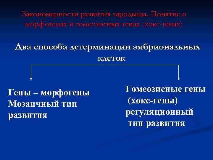 Закономерности развития зародыша. Понятие о морфогенах и гомеозисных генах (хокс-генах) Два способа детерминации эмбриональных
