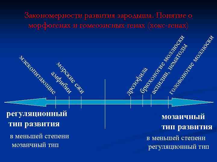 оз жи ее и би ие в меньшей степени мозаичный тип др ки фи