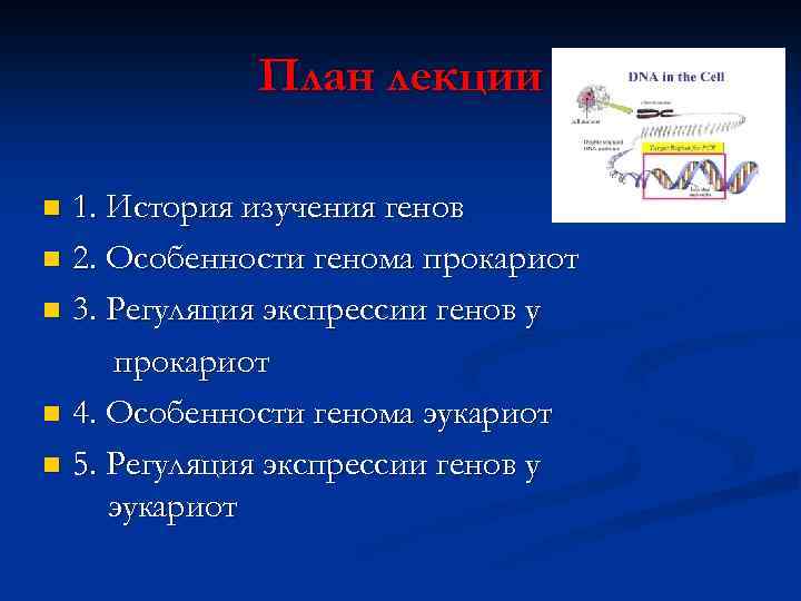 План лекции 1. История изучения генов n 2. Особенности генома прокариот n 3. Регуляция