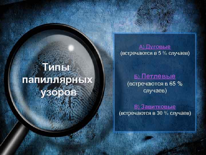 А) Дуговые (встречаются в 5 % случаев) Типы папиллярных узоров Б) Петлевые (встречаются в