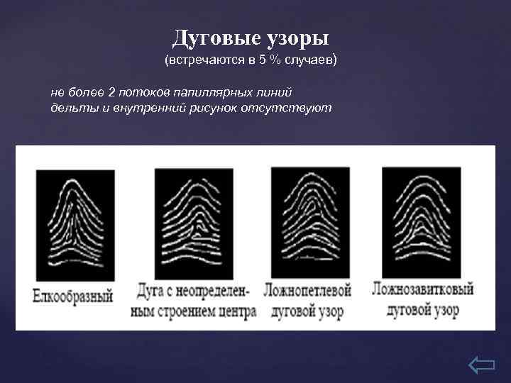 Дуговой узор. Дуговой узор папиллярных линий. Классификация папиллярных узоров пальцев рук. Дуговой папиллярный узор Дельта. Пирамидальные дуговые папиллярные узоры.