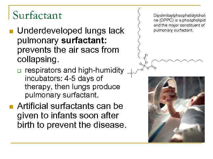 Surfactant n Underdeveloped lungs lack pulmonary surfactant: prevents the air sacs from collapsing. q