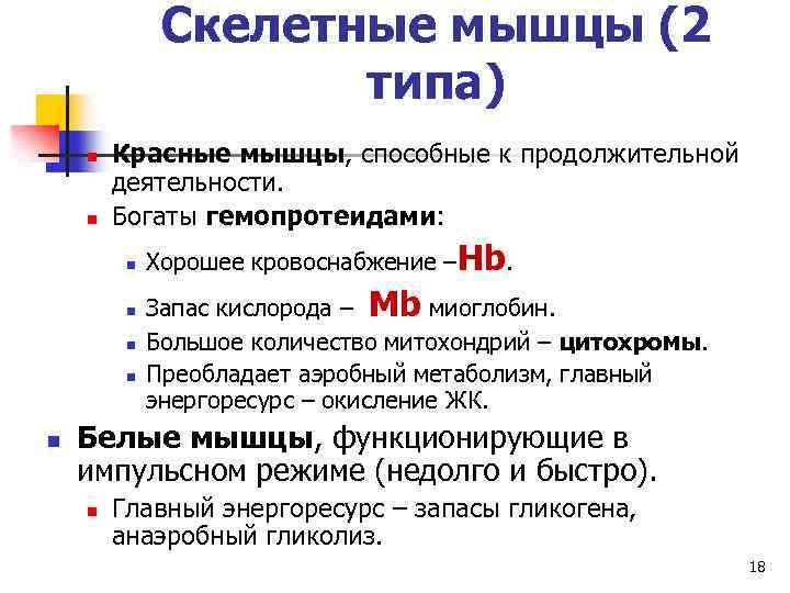 Скелетные мышцы (2 типа) n n Красные мышцы, способные к продолжительной деятельности. Богаты гемопротеидами: