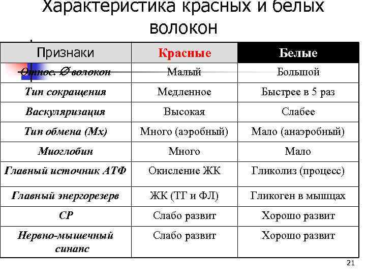 Характеристика красных и белых волокон Признаки Красные Белые Относ. волокон Малый Большой Тип сокращения