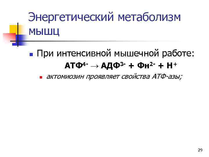 Энергетический метаболизм мышц n При интенсивной мышечной работе: АТФ 4 - → АДФ 3