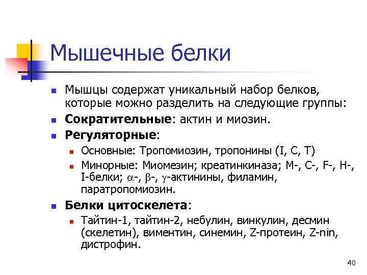 Мышечные белки n n n Мышцы содержат уникальный набор белков, которые можно разделить на