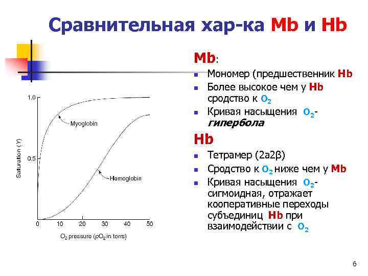 Сравнительная хар-ка Мb и Нb Мb: n n n Мономер (предшественник Нb Более высокое