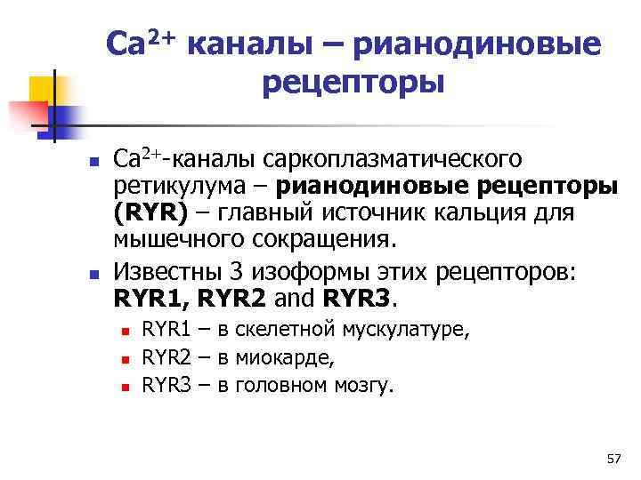 Ca 2+ каналы – рианодиновые рецепторы n n Ca 2+-каналы саркоплазматического ретикулума – рианодиновые