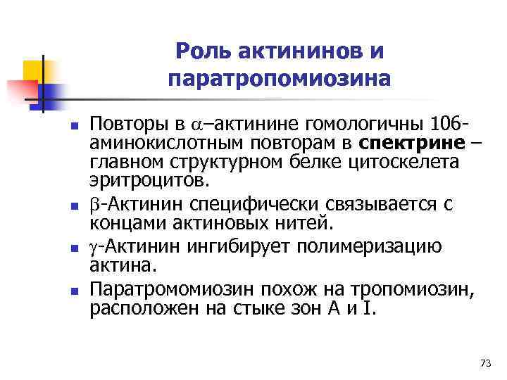 Роль актининов и паратропомиозина n n Повторы в a–актинине гомологичны 106 аминокислотным повторам в