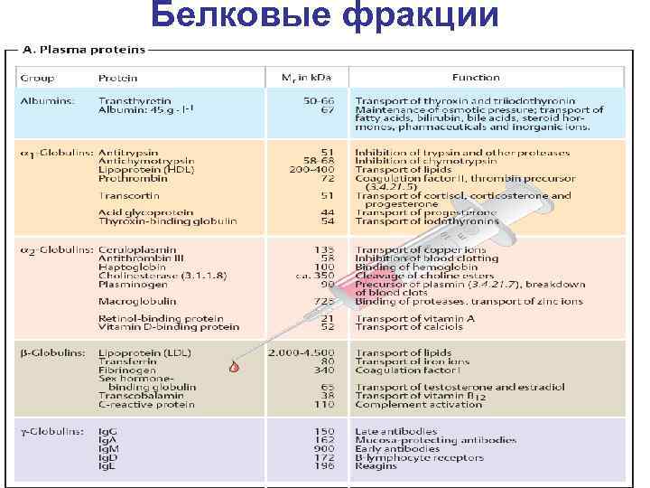 Белковые фракции 