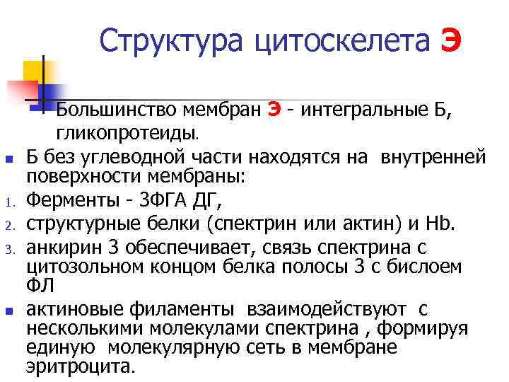 Структура цитоскелета Э n 1. 2. 3. n Большинство мембран Э - интегральные Б,