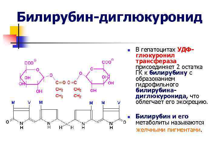 Билирубин-диглюкуронид n n В гепатоцитах УДФглюкуронил трансфераза присоединяет 2 остатка ГК к билирубину с