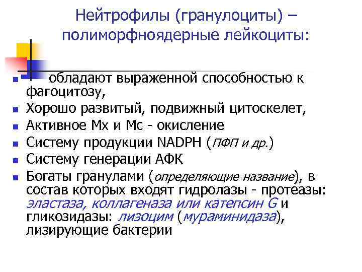 Нейтрофилы (гранулоциты) – полиморфноядерные лейкоциты: n n n обладают выраженной способностью к фагоцитозу, Хорошо