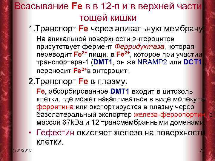 Всасывание Fe в в 12 -п и в верхней части тощей кишки 1. Транспорт