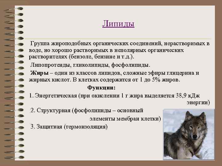 Липиды Группа жироподобных органических соединений, нерастворимых в воде, но хорошо растворимых в неполярных органических
