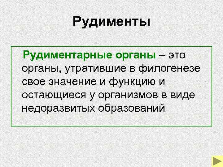 Рудименты Рудиментарные органы – это органы, утратившие в филогенезе свое значение и функцию и