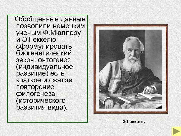  Обобщенные данные позволили немецким ученым Ф. Мюллеру и Э. Геккелю сформулировать биогенетический закон: